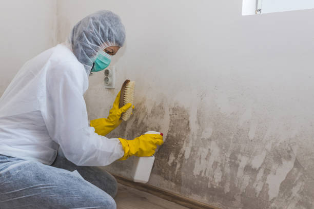 Best Asbestos and Lead Testing During Mold Inspection  in Lewisville, NC