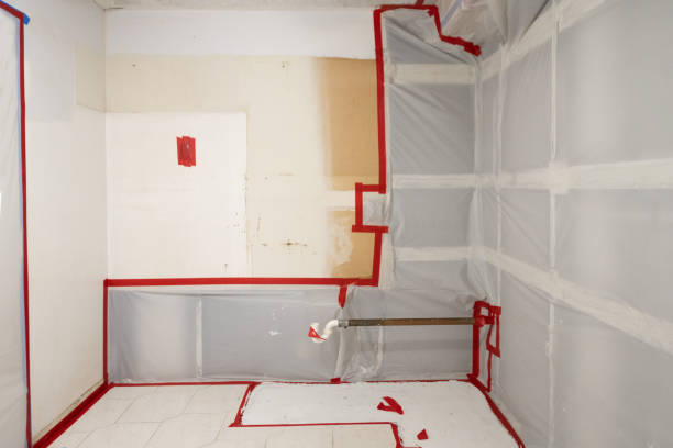 Trusted Lewisville, NC Mold Removal Experts