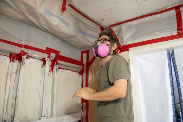 Best Emergency Mold Remediation  in Lewisville, NC