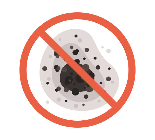 Best Comprehensive Air Testing for Mold Contaminants  in Lewisville, NC