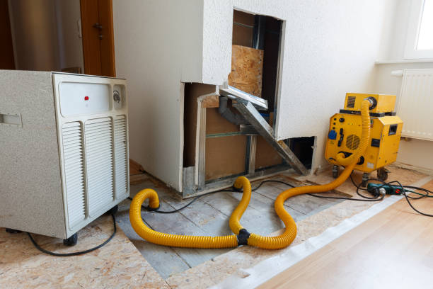 Best Air Quality Testing for Mold Spores  in Lewisville, NC